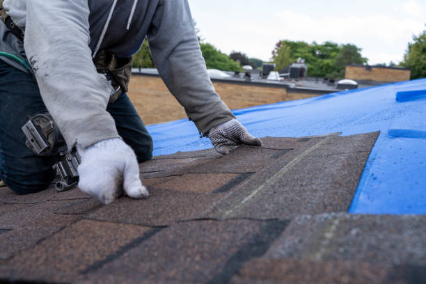 Best Roof Gutter Cleaning  in Mosheim, TN