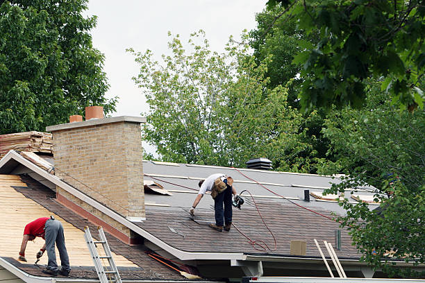 Best Storm Damage Roof Repair  in Mosheim, TN